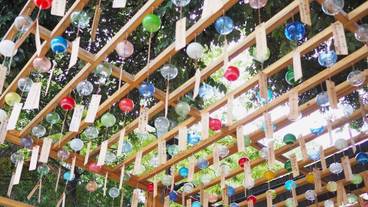 観光スポット / 17