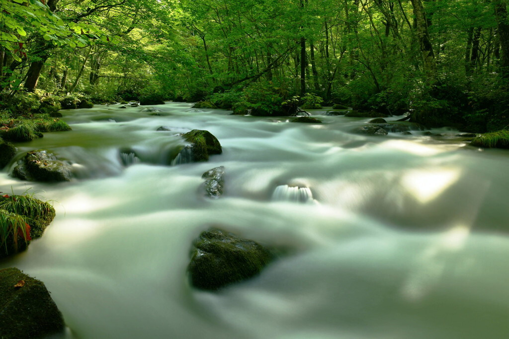 【奥入瀬渓流・十和田湖エリア】4031819