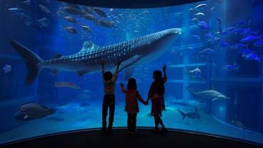 施設からの眺望 / 27