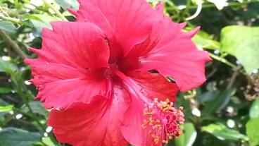 施設からの眺望 / 30