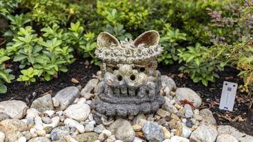 テラス / パティオ / 14