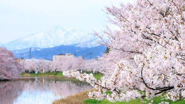 観光スポット / 11