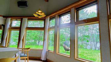 レストランからの眺め / 3