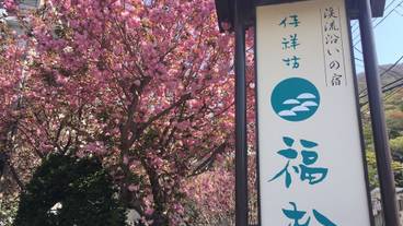 施設の敷地 / 29