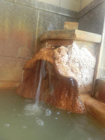 秘湯の雰囲気がたっぷり味わえる「上州の薬湯」4060006