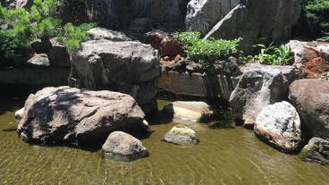 施設の敷地 / 14