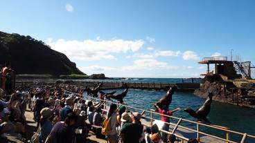 観光スポット / 5