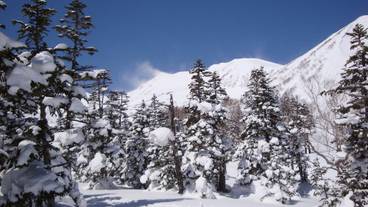 スノー スポーツとスキー / 6