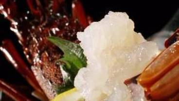 食事・飲み物 / 1