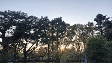 観光スポット / 5