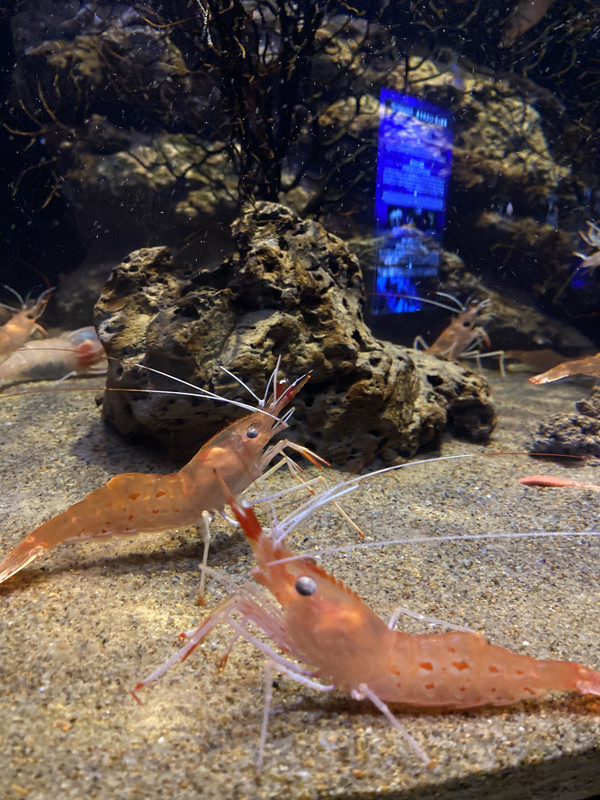 riochi_odekakeさんの写真 / 1