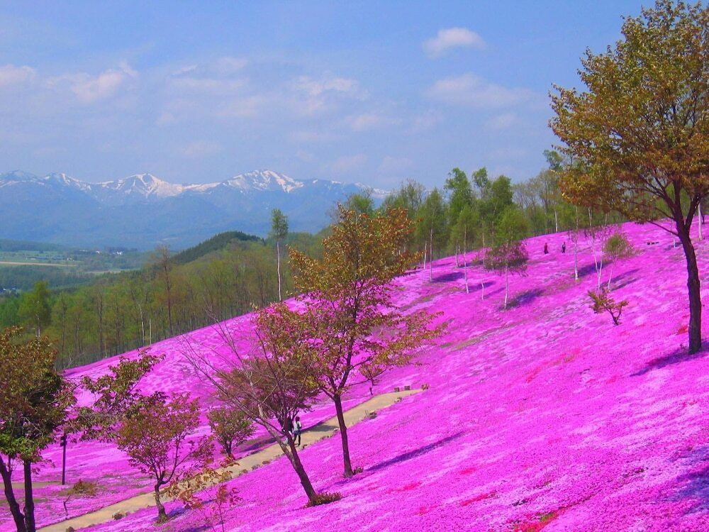 施設からの眺望