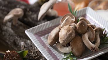 朝食ビュッフェ / 2