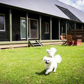 1.コテージ・温泉・レジャーが充実「エンゼルフォレスト那須白河」3965481