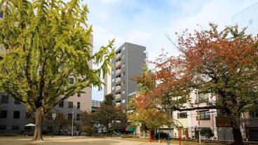 メイン イメージ / 1