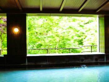 渓谷を望む露天風呂で時を忘れる4575374