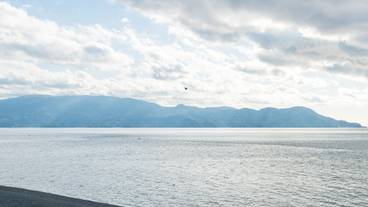 ランド ビュー / 26