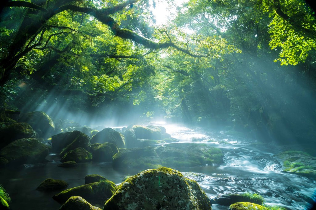自然に温泉、美食に見どころあふれる「熊本県」3409789