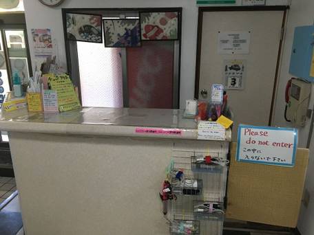 ペンション ニュー浜乃荘（石垣島） / 2