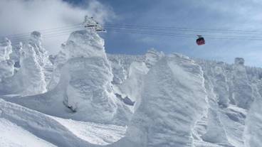 スノー スポーツとスキー / 1