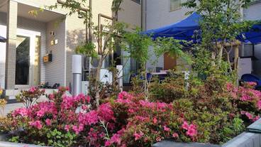 施設の敷地 / 19