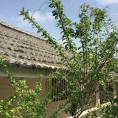 白浜ホテル(沖縄県)(沖縄県 ペンション) / 4