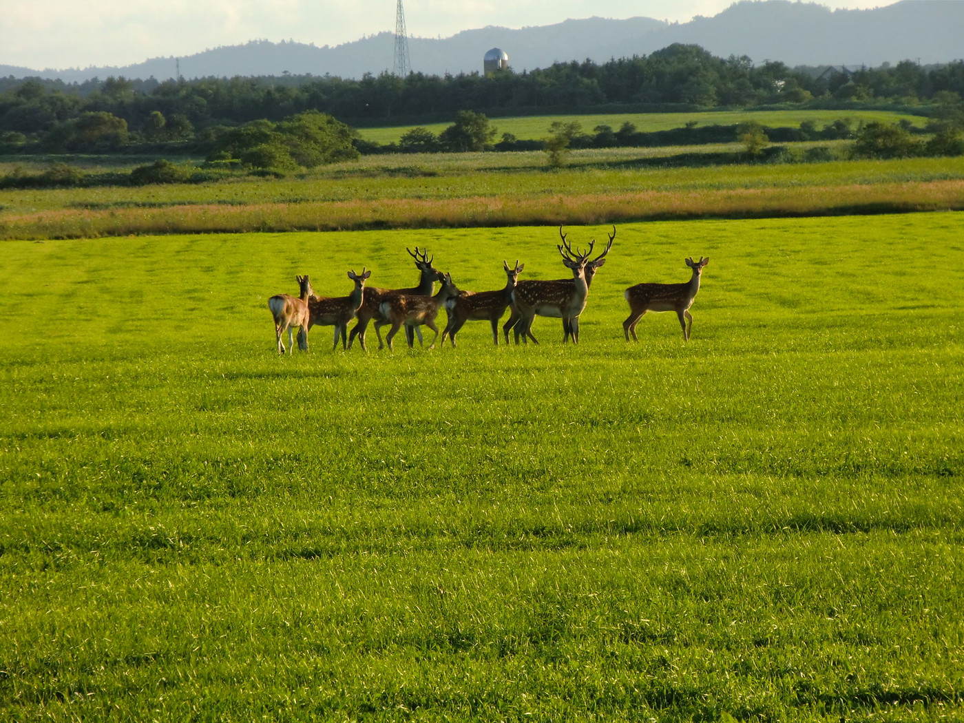 2.エサヌカ線1255222