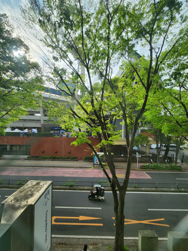 部屋からの眺望、ハマスタ