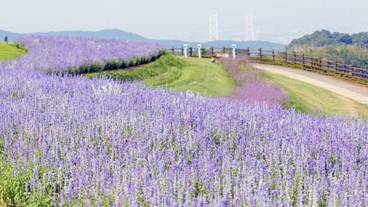 ランド ビュー / 23