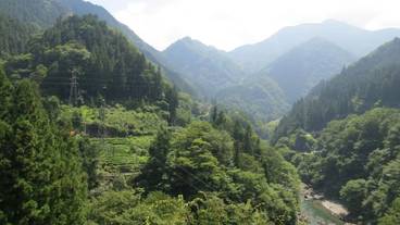 施設の敷地 / 12