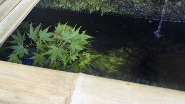 施設の敷地 / 13