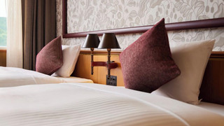 サウスウイング　リニューアルスタンダードツイン