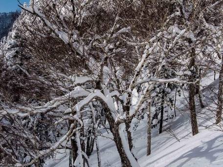 森のロッジ 妙高 / 4