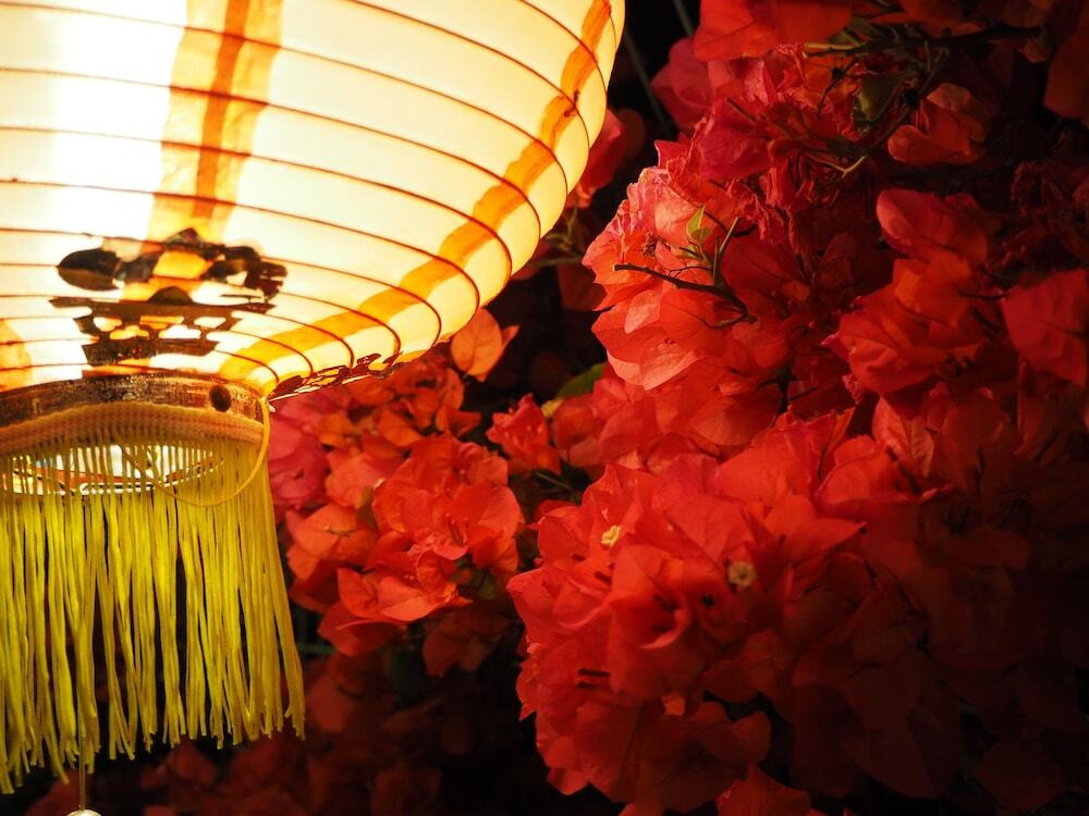 施設からの眺望