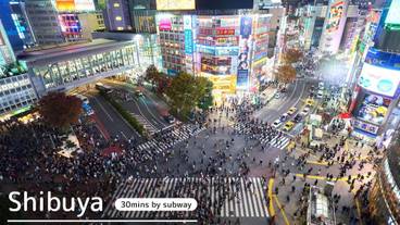 観光スポット / 5