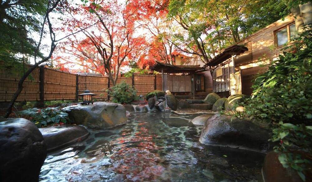 野天風呂 木洩れ日の湯 / 5