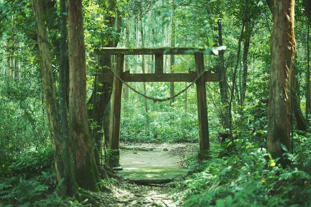 エコツアー