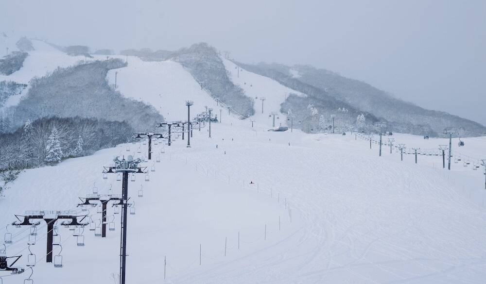 ホテルから眺めるゲレンデ / 5