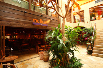 「メロー カフェ」外観 1204864 ガラス張りで開放的な店内と大きく育ったヤシの木が目印。