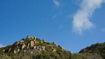 施設からの眺望 / 7