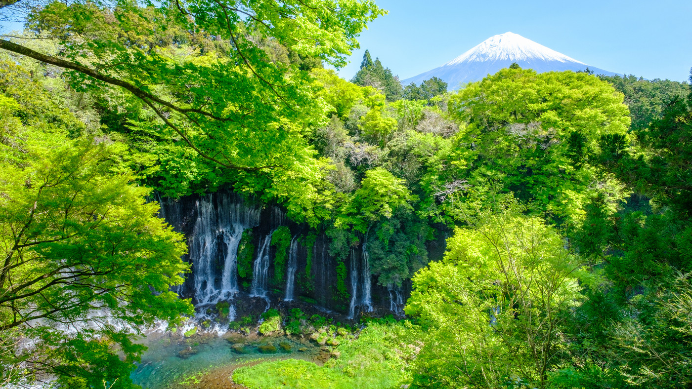 紅葉の白糸の滝と富士山