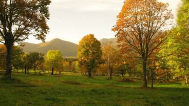 ランド ビュー / 5