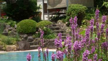 屋外プール / 12