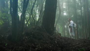 ランド ビュー / 13