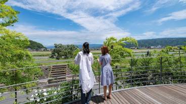 テラス / パティオ / 14