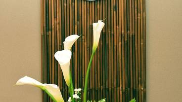 部屋からの景観 / 17