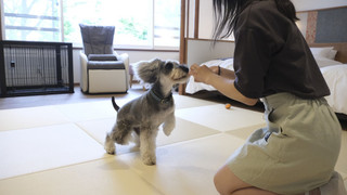 ワンちゃんルーム 和洋特別室 61m² (川側/禁煙)