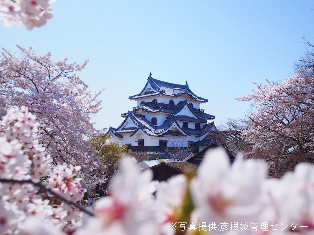 観光スポット