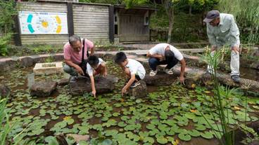 子供向けアクティビティ / 15