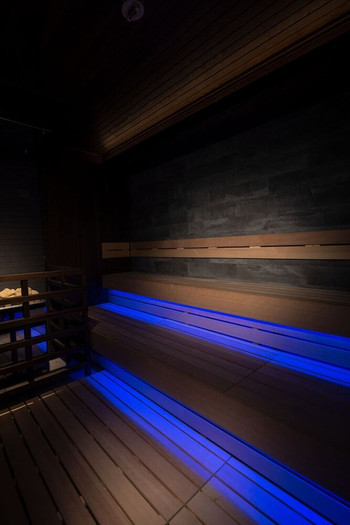 最新のオートロウリュサウナで汗を流し”ととのう”3566114